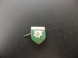 Insigne Villars Édelweiss