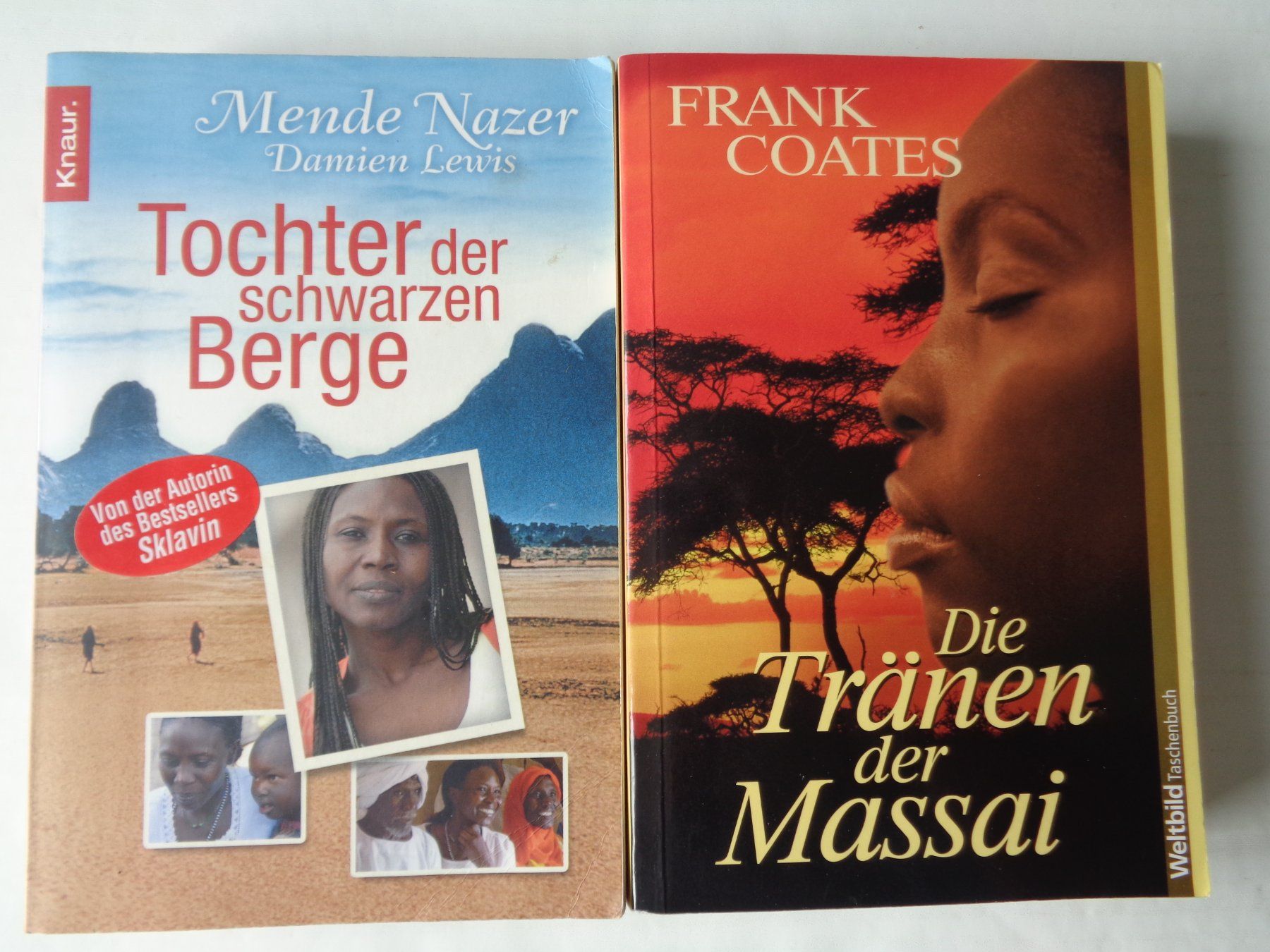 Bücher: 8 Bücher – Romane - Konvolut – Gebraucht aus Chur von omonia 1