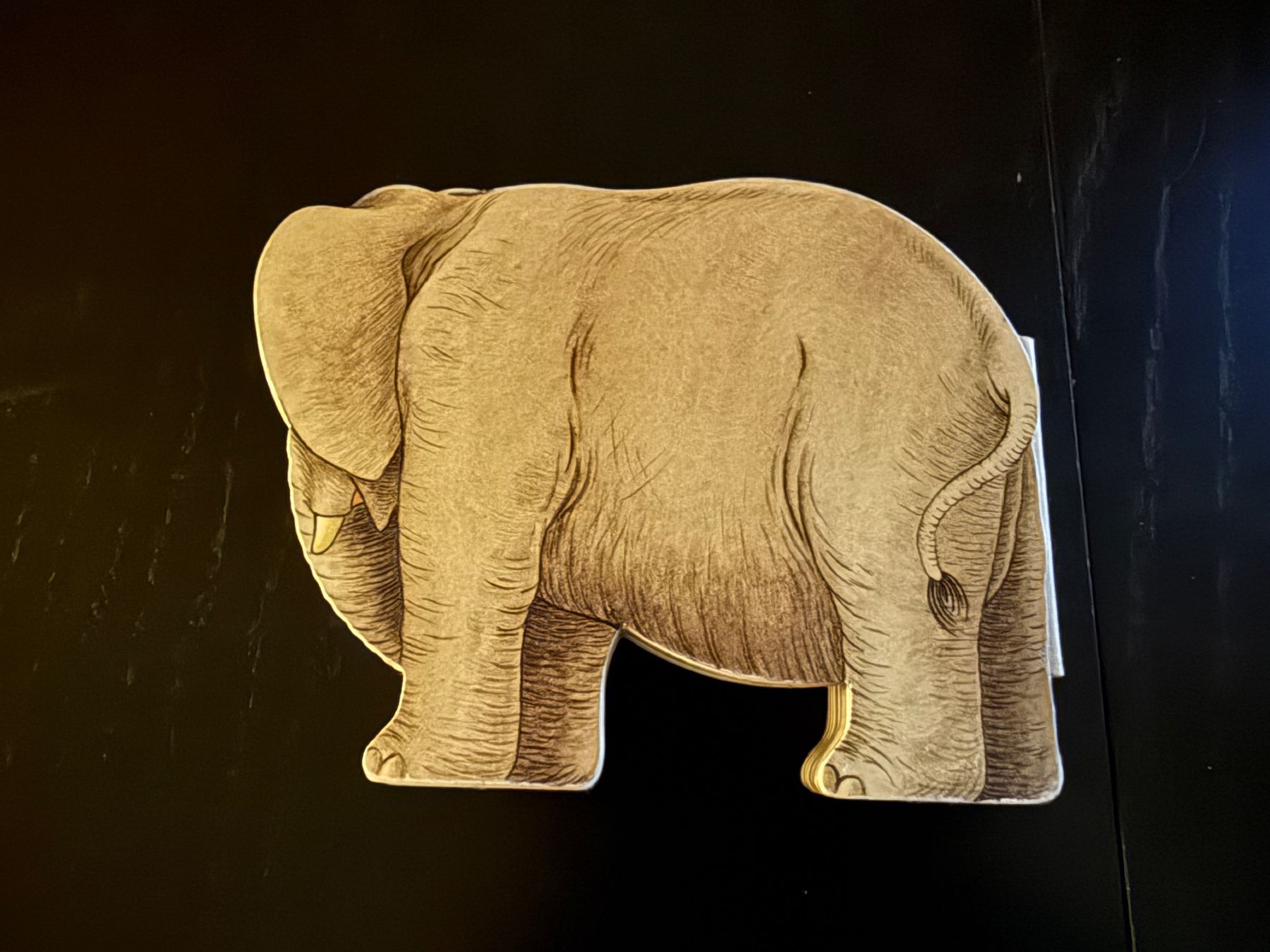 Libri: Elefant Kinderbuch "Ein Tag im Leben einer Elefantentante" – Usato da Erstfeld venduto da Uhu1980 4