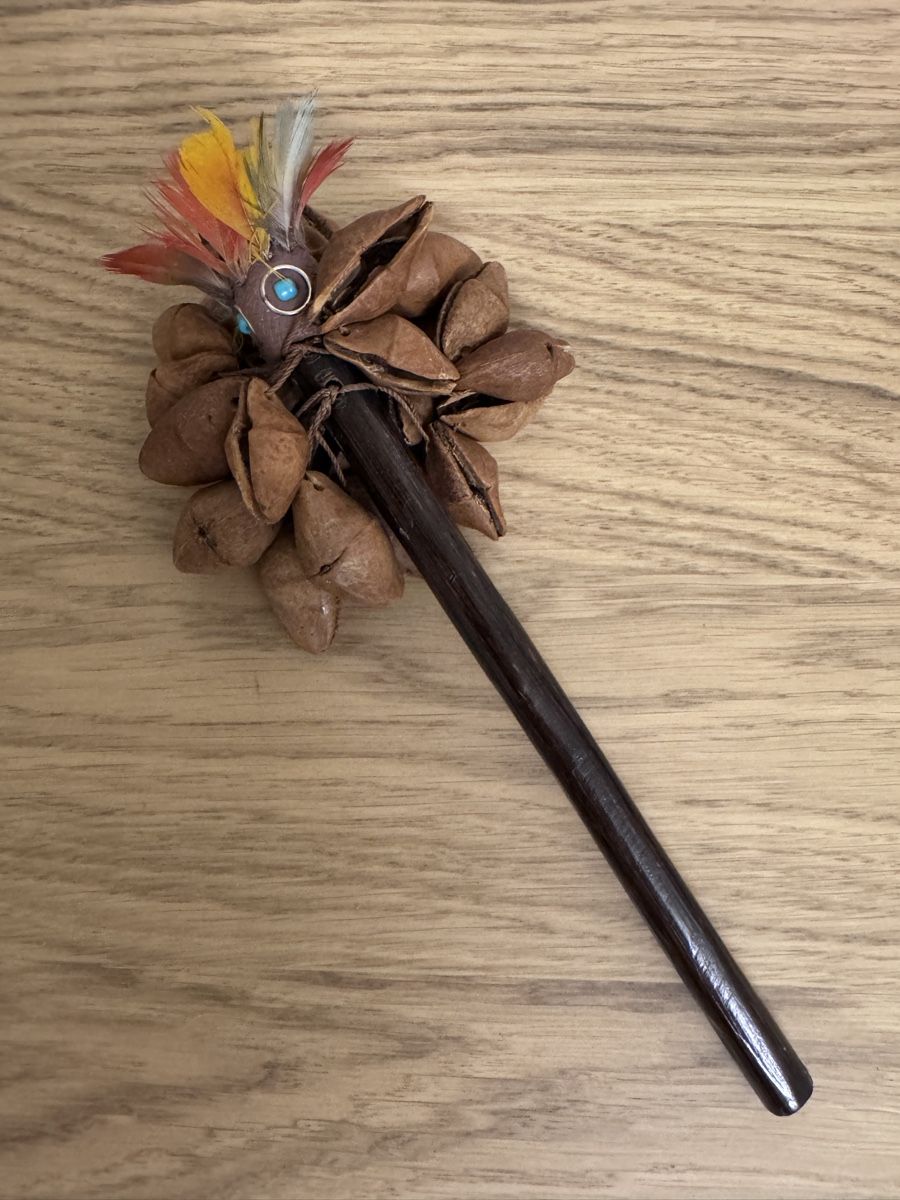 Musikinstrumente: Indigenous / Artisan-Made Instrument seed pod shaker  – Gebraucht aus Basel von Jessve8