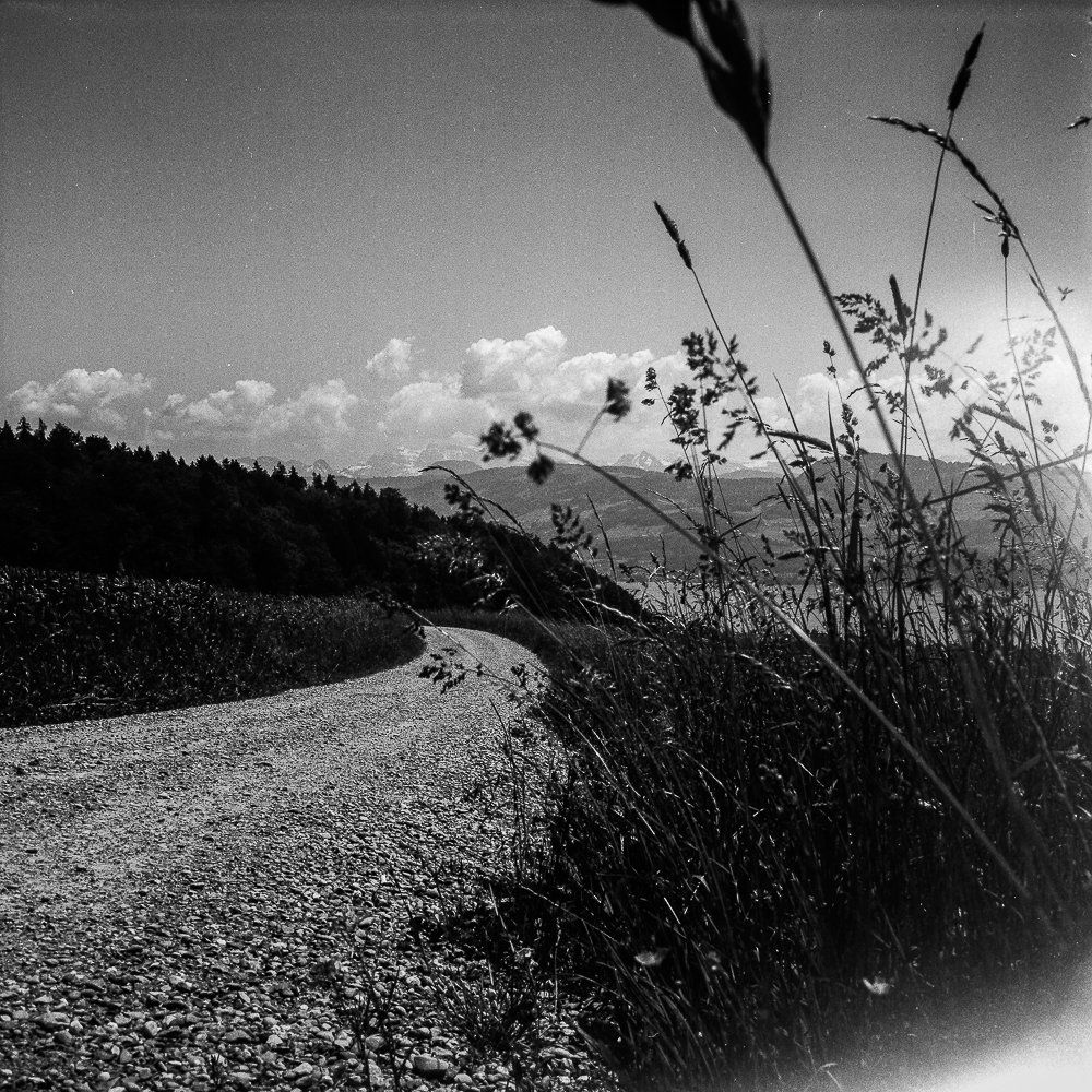 Fotocamera: Rolleiflex Standard K2 Model 621 – Usato da Uster venduto da Stoessda 4