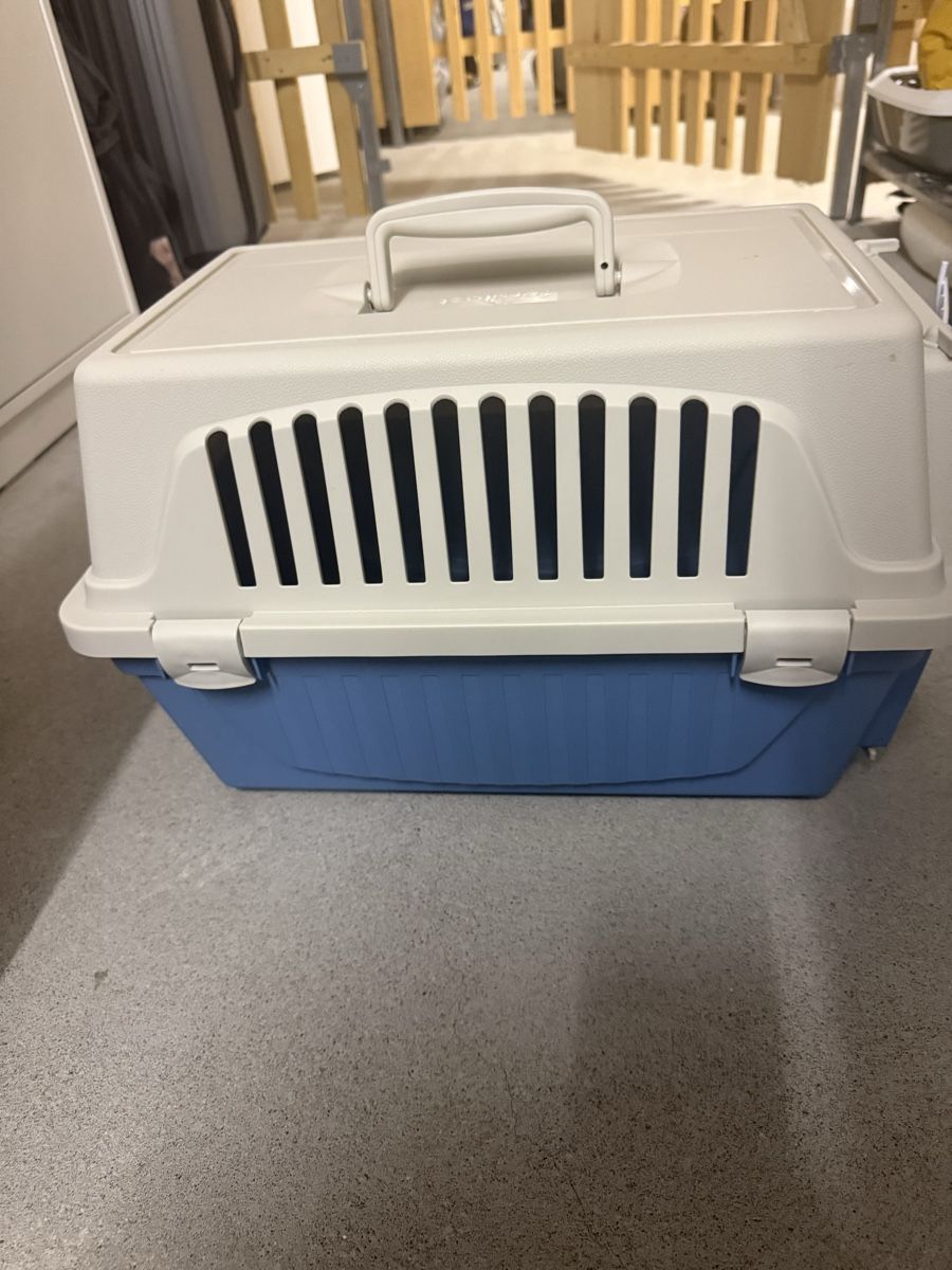 Altro in Decorazioni & Accessori: Katzentransportkasten – Usato da Zürich venduto da Joao-Neves 1