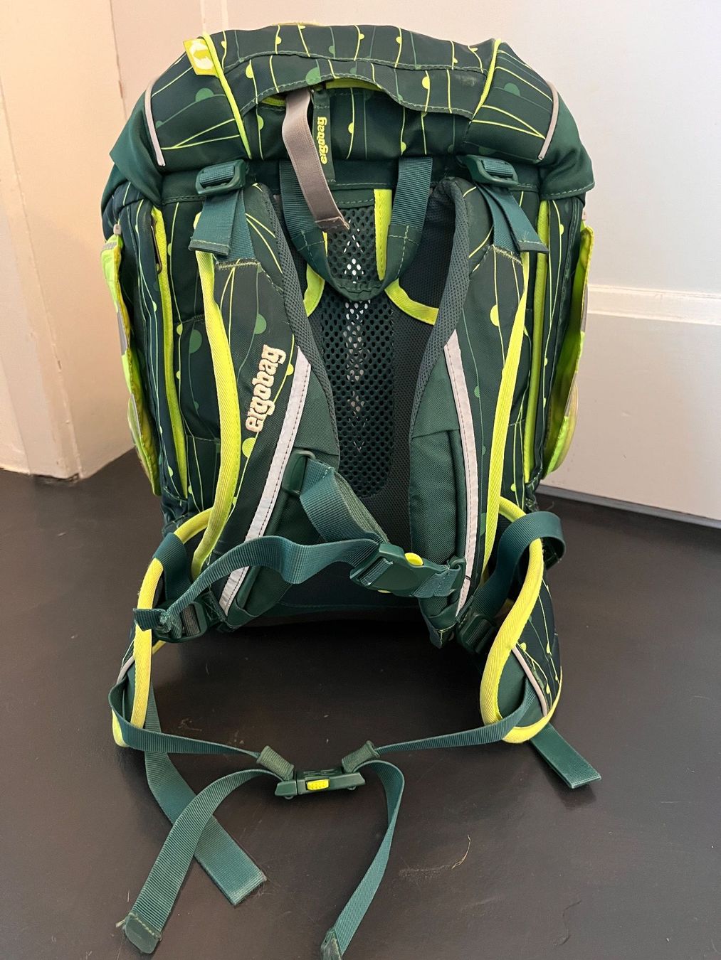 Ergobag Sacs & sacs à dos: Ergobag Schulrucksack und passender Sportbeutel – D'occasion à Langendorf par Wubri 5