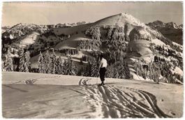 Rigi - Skilift Dossen