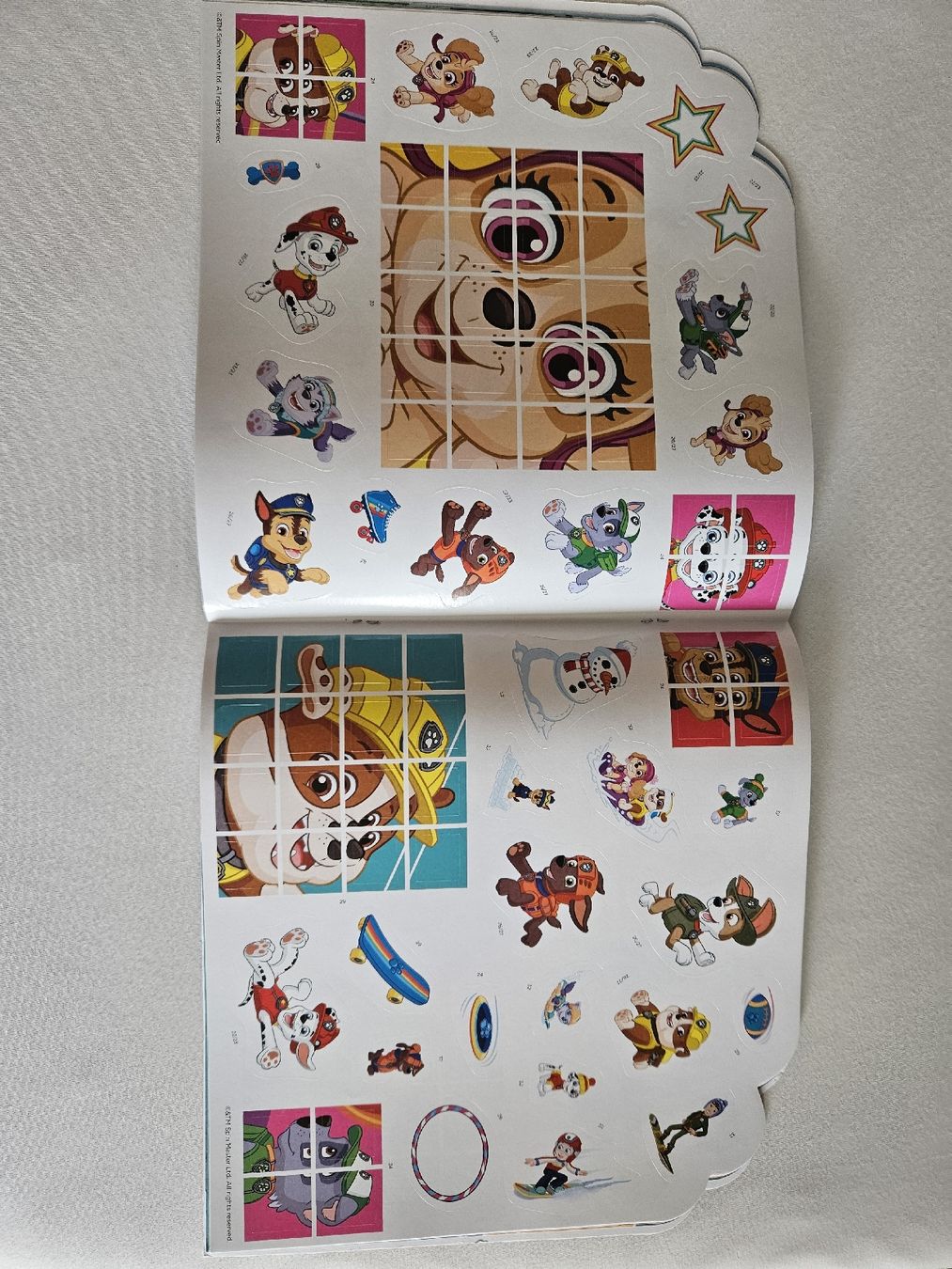 Libri: Paw Patrol Activity Buch – Nuovo (secondo la descrizione) da Zürich venduto da Lejahan77 1