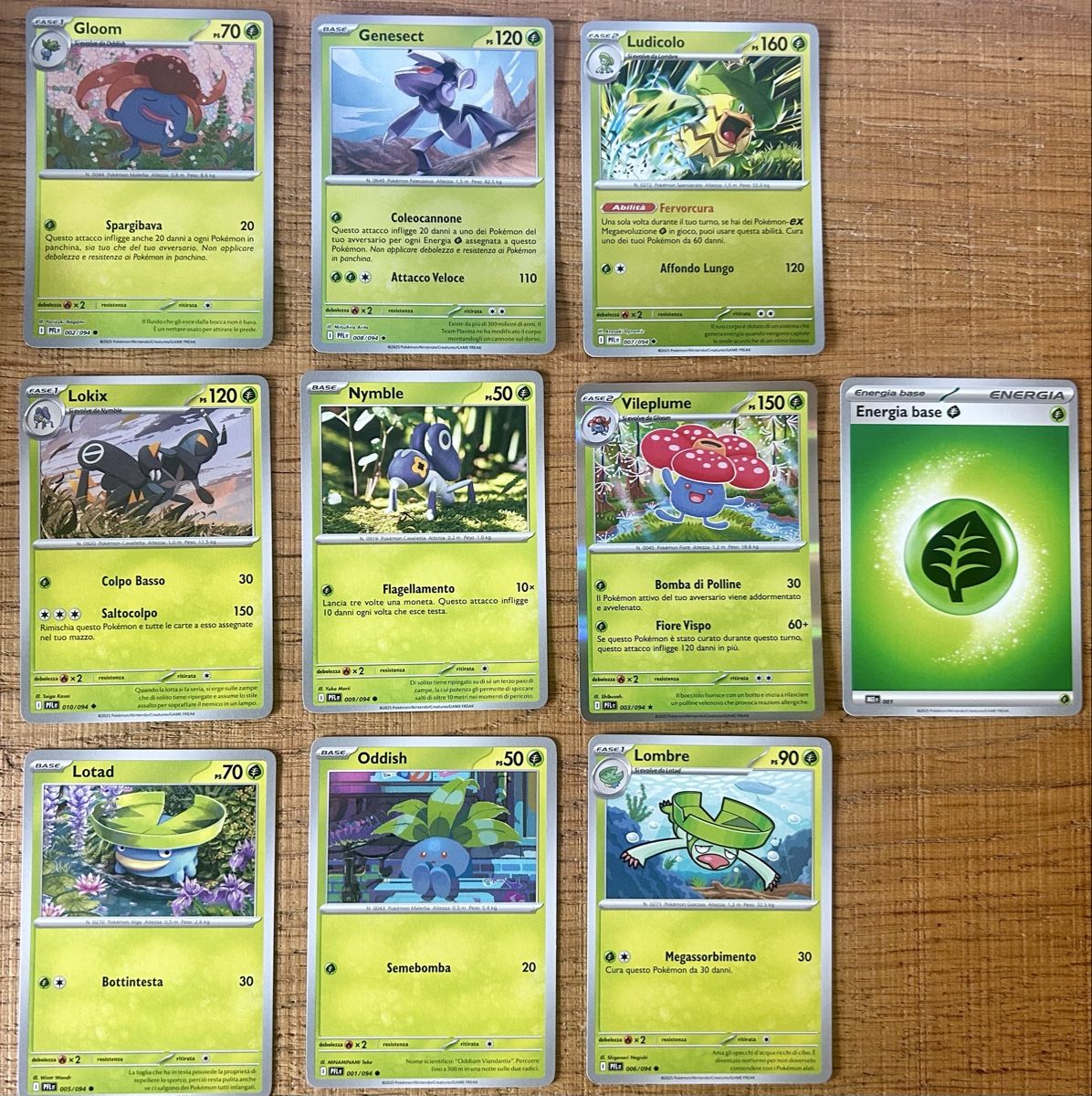 Cartoline: Pokemon Karten Sammlung alles 94 Set – Nuovo (secondo la descrizione) da Oberrieden venduto da Mezz9 6
