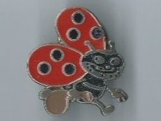 Blick Käfer, PIN
