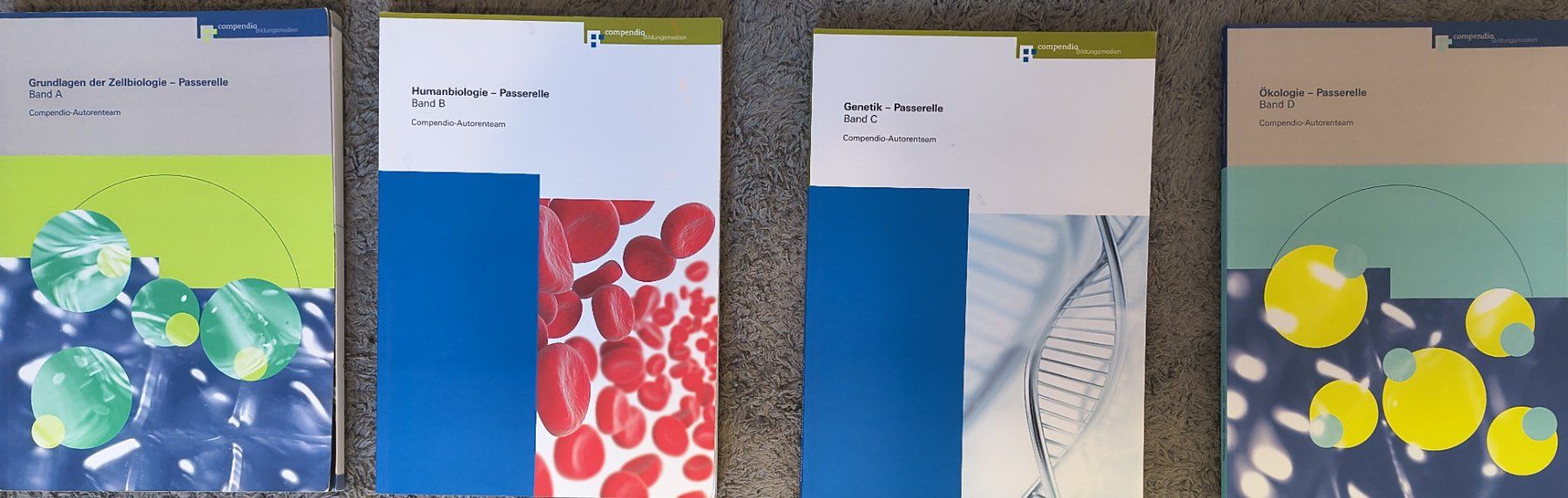 Libri: Passerellen Bücher – Usato da Dintikon venduto da Trixl 4