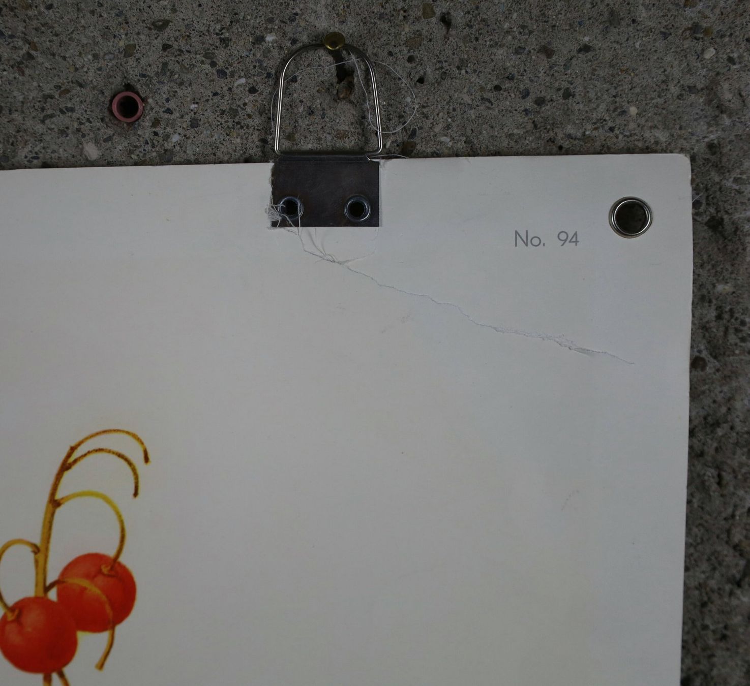Foto & Immagini: Schulwandbild, Wandbild, Lehrbild "Maiglöckchen" Marta Seitz – Usato da Birrwil venduto da brandschatz_birrwil 2