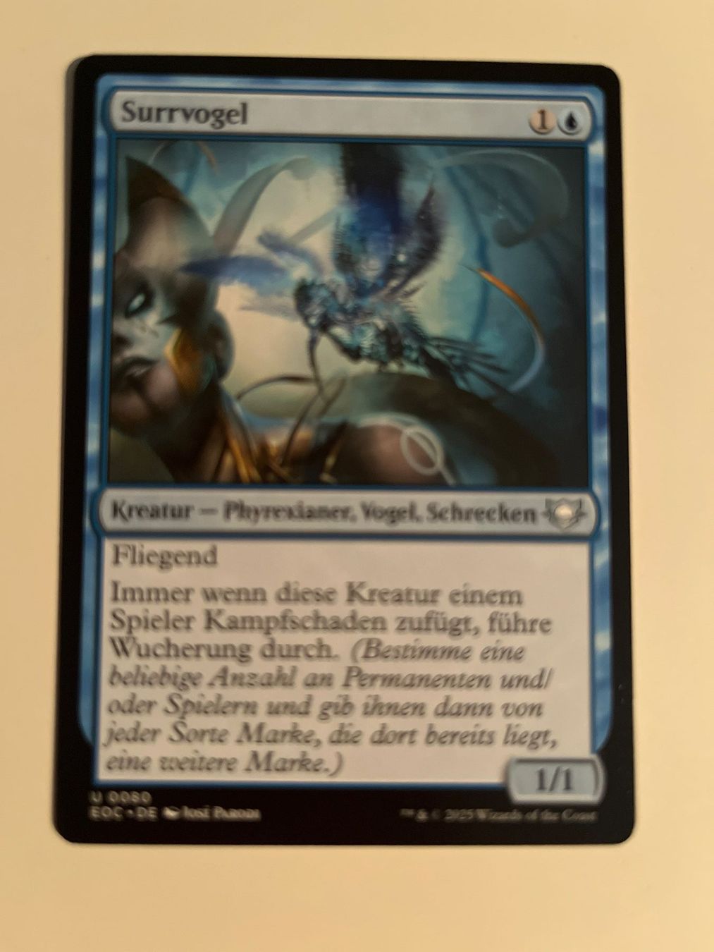 Magic The Gathering Carte collezionabili: 1 x Surrvogel - Magic: The Gathering - MtG – Usato da Kriens venduto da Shadi1980