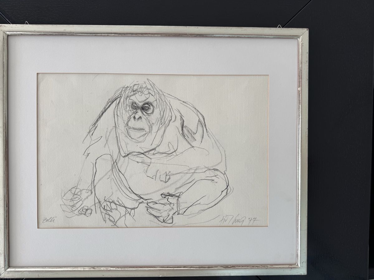 Foto & Immagini: Fritz Hug, Original, Bleistiftzeichnung, Gorilla – Usato da Safenwil venduto da Corahund