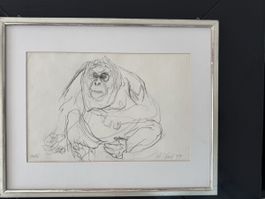 Fritz Hug, Original, Bleistiftzeichnung, Gorilla