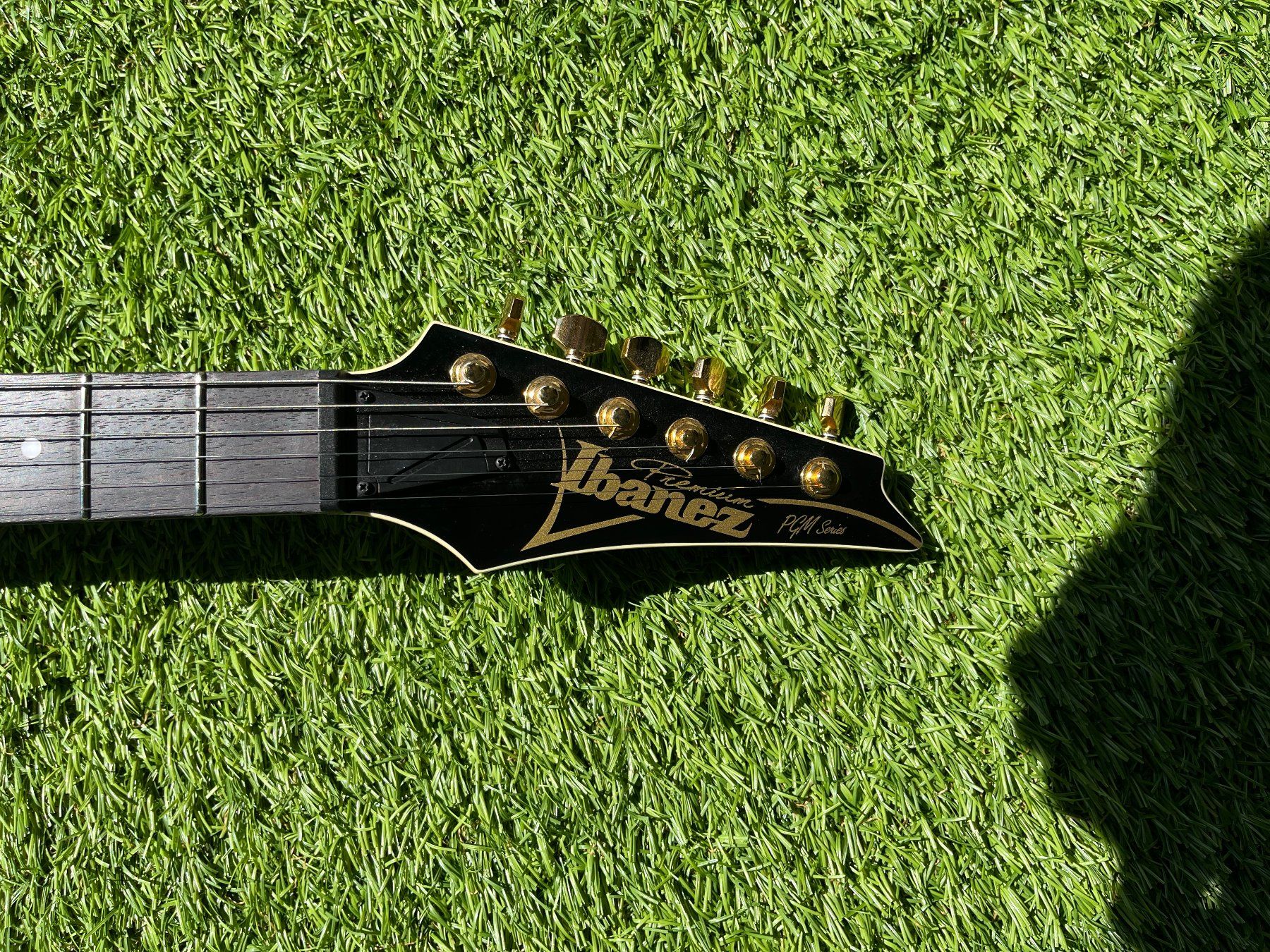 Ibanez Strumenti musicali: Ibanez PGM50 – Usato da Windisch venduto da Daredevil7 6