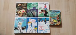 Lots de livres bibliothèque roses