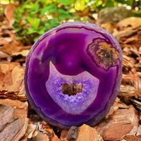 Agata Viola Muschiata a Fetta