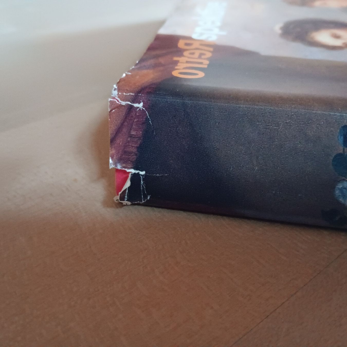 Libri: Buch Angelika Kauffmann Retrospektive 1999 – Usato da Chur venduto da chr_b2cn 2