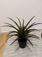Kunstpflanze agave Topf 
