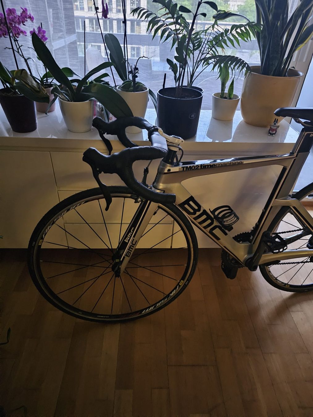 BMC Biciclette: BMC Time machine 02 carbon – Usato da Bern venduto da choco81 2