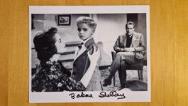 Barbara Shelley, Original Autogramm auf Grossfoto in s/w