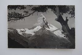 AK Riffelalp ob Zermatt, Matterhorn 1953