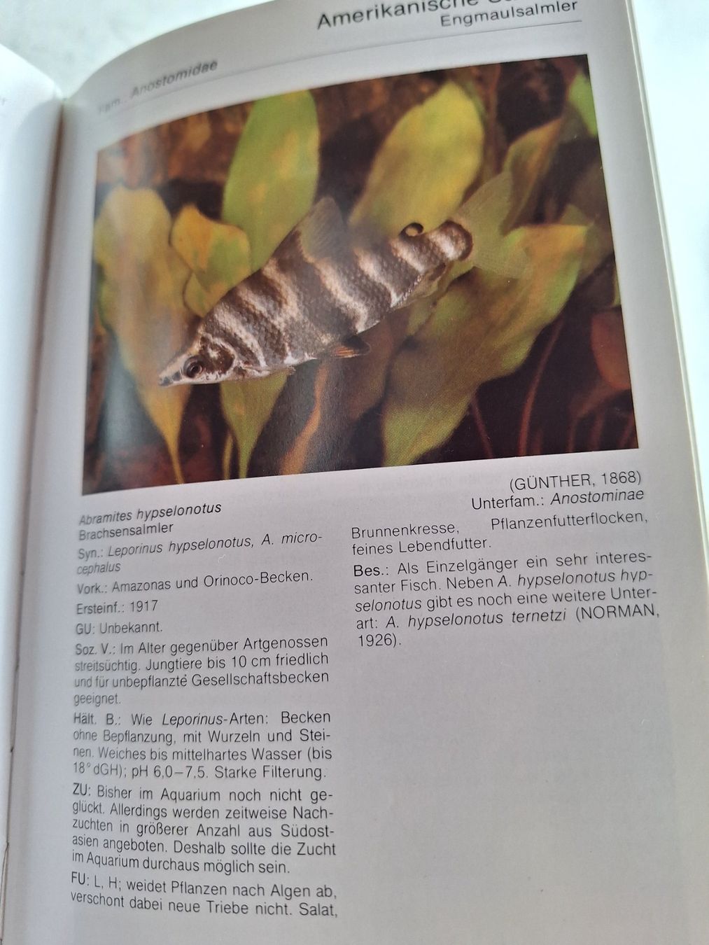 Bücher: AQUARIENATLAS MIT 950 SEITEN – Gebraucht aus Huttwil von Kunterbuntli 4