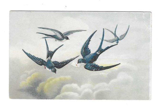 Grafica & Litografie: Carte - Chromo – Usato da Genève venduto da edelweiss1900