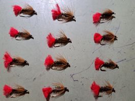 12 Red Tag h 12