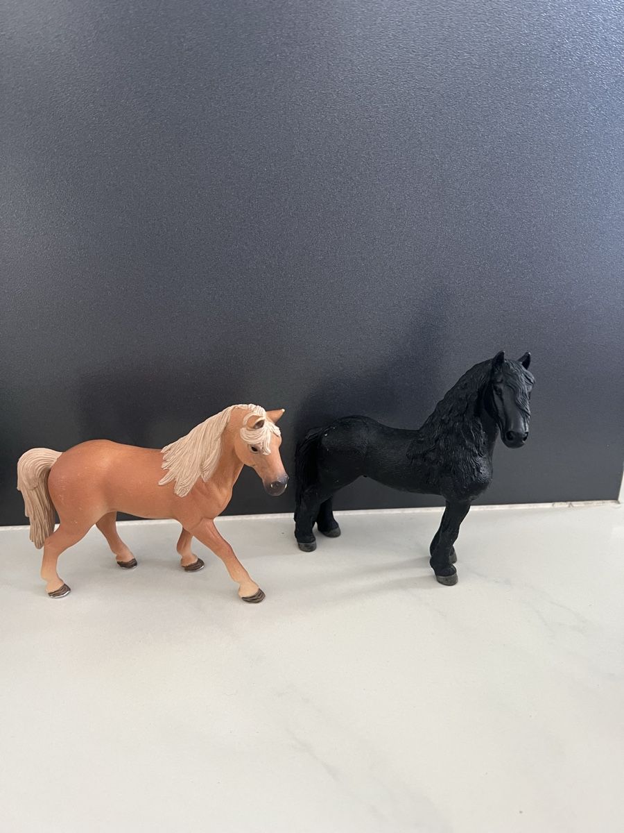 Schleich Jouets: Schleichpferde Waschplatz – D'occasion à Dietwil par sarn 1