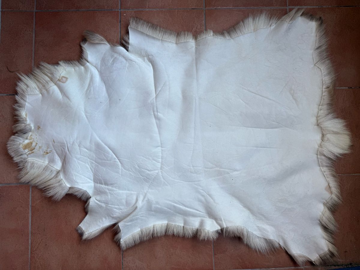 Tappeti: Rentier Fell - 120x100 cm – Usato da Basel venduto da ser_5v8v 2