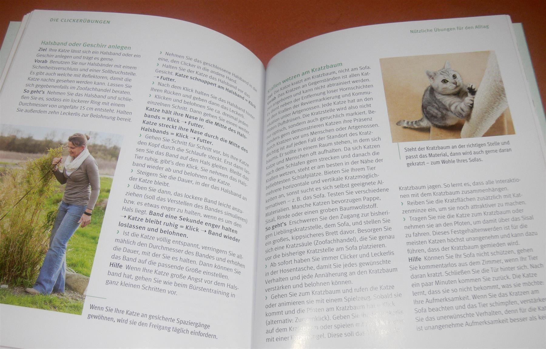 Libri: ° Katzen Clickertraining - So klappt der Trick ... / GU 2014 – Usato da Muttenz venduto da Negnuja 1