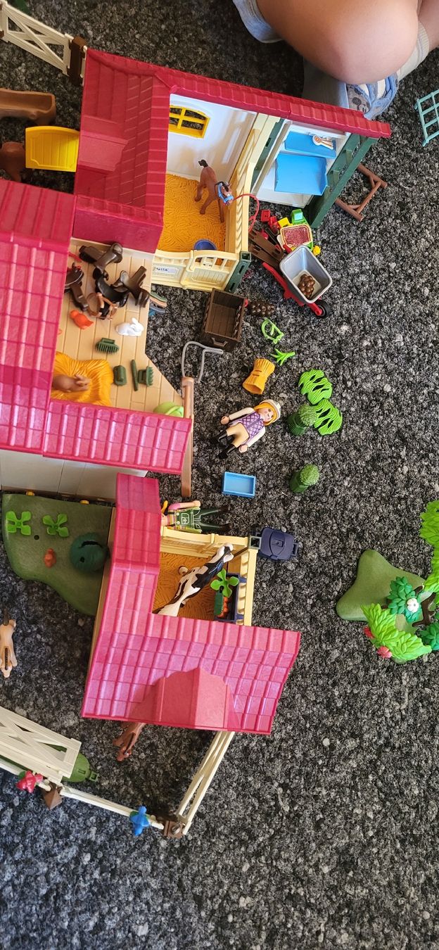 Playmobil Giocattoli: Playmobil country 6926 – Usato da Lavey-Village venduto da agaddy 8