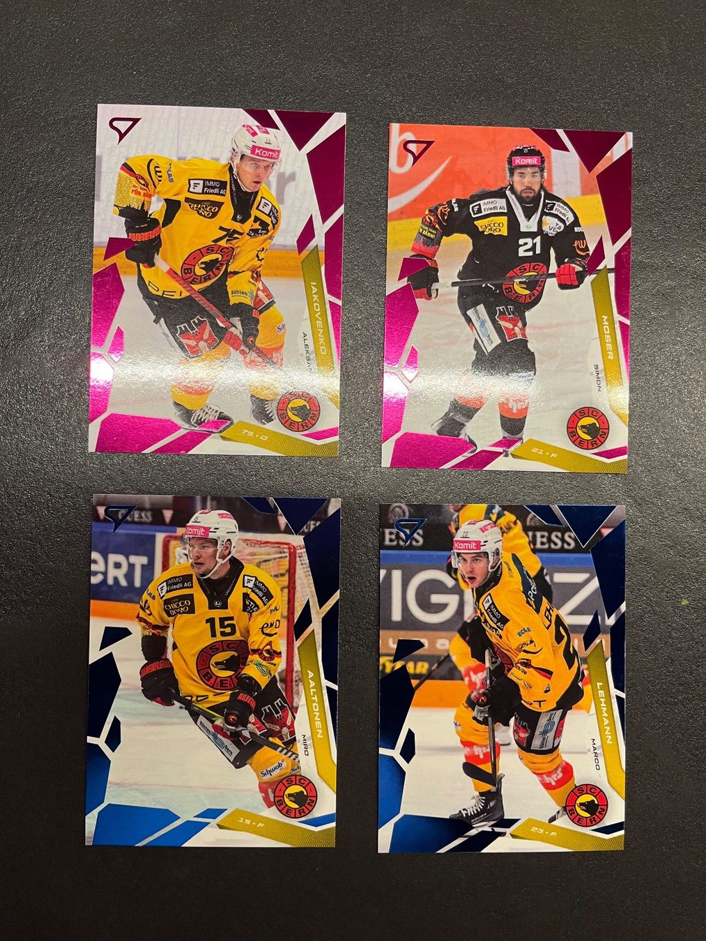 Sportzoo Carte collezionabili: Sportzoo SC Bern blue and pink – Usato da Troinex venduto da yrene11