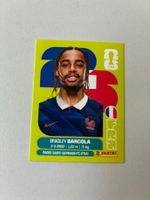 Carte panini 2026 - FRA 16