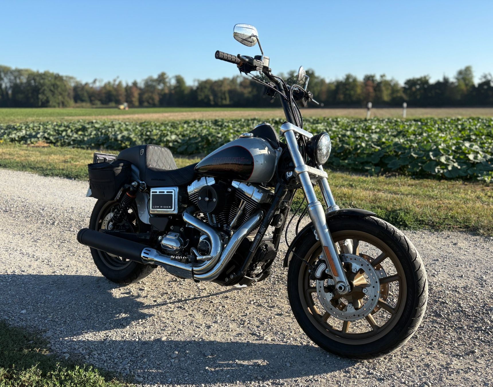 Harley-Davidson Chopper: Harley Dyna Lowrider RS – Usato da Münchwilen TG venduto da VeniceBeach02 7
