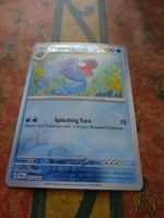 POKEMON  Tirtouga   H  SCR EN   037/142   HP100   2024