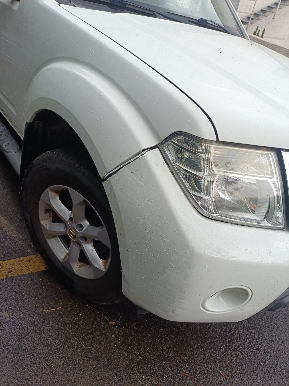 Nissan Automobili: Nissan Navara – Difettoso da Sihlbrugg venduto da Z...D 2