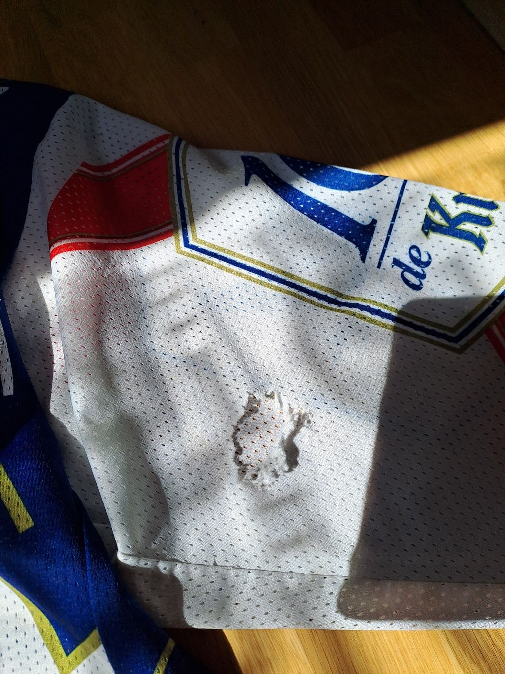 Canottiere & Pantaloni: original sc bern einlauff Trikot Gr. L – Usato da Heimberg venduto da 19BERN31 3