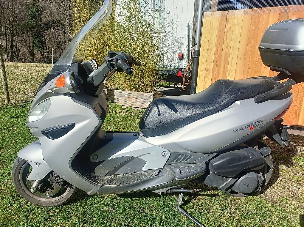 Scooters: Malaguti Madison s250 – D'occasion à Ludiano par vollgasfanny 1
