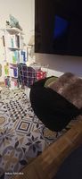Sitzsack schwarz – bequem & modern / Lounge Sitzsack