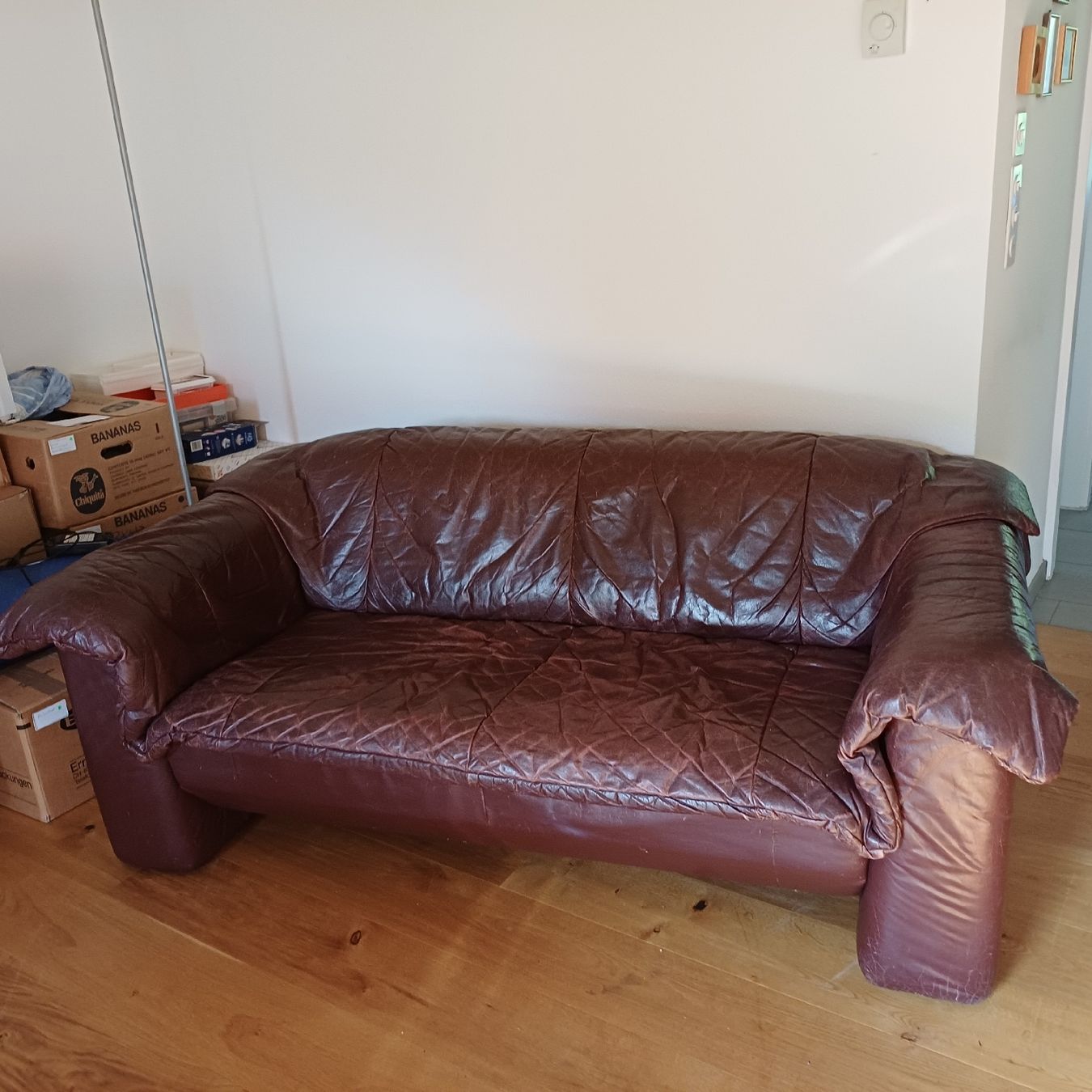Rolf Benz Divani: Rolf Benz Sofa – Usato da Trimmis venduto da grrose