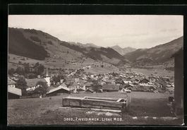 AK Zweisimmen, Ortspanorama
