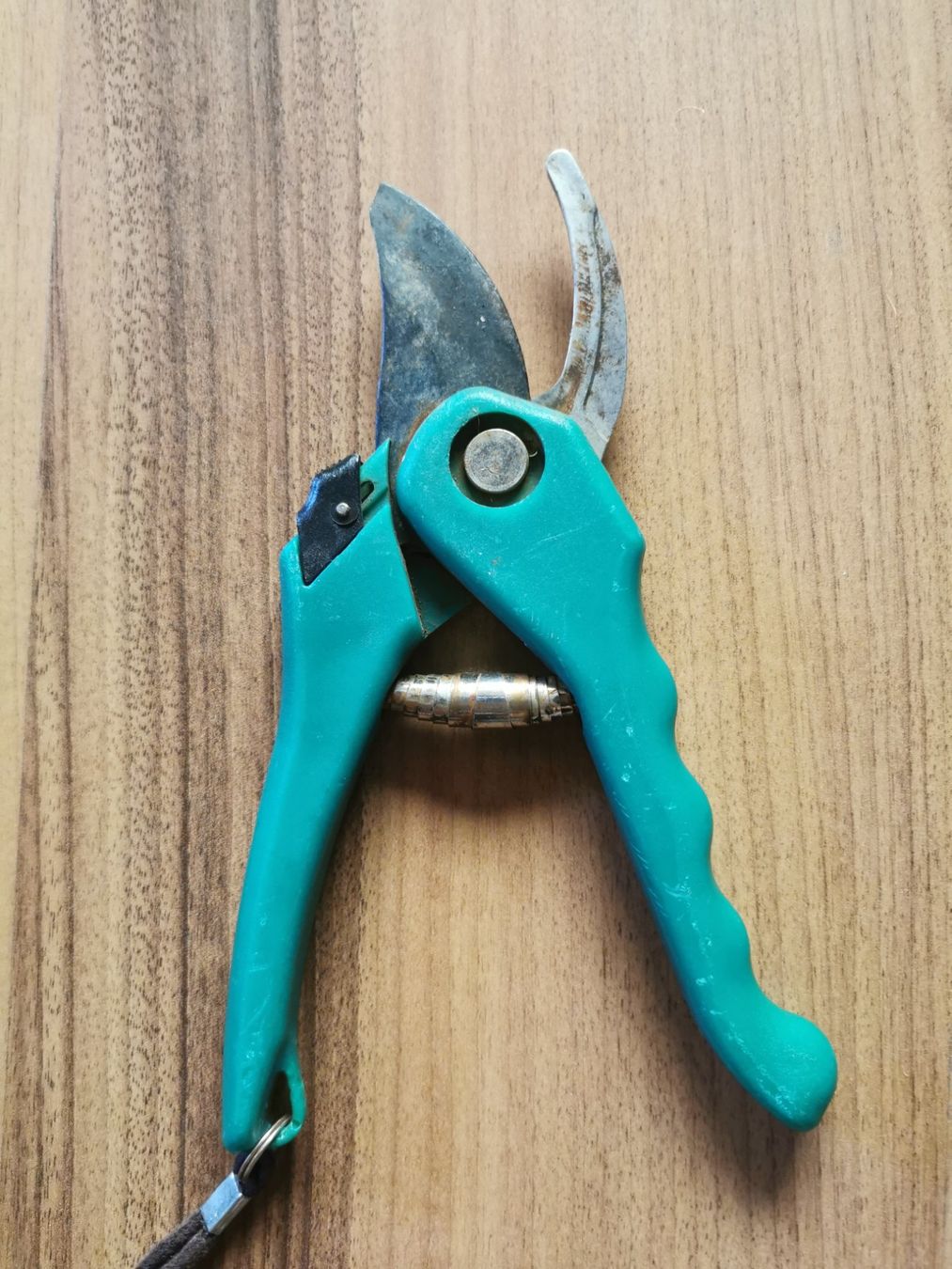 Tous les outils: Gartenschere – D'occasion à Glattfelden par sut_q8d2 3