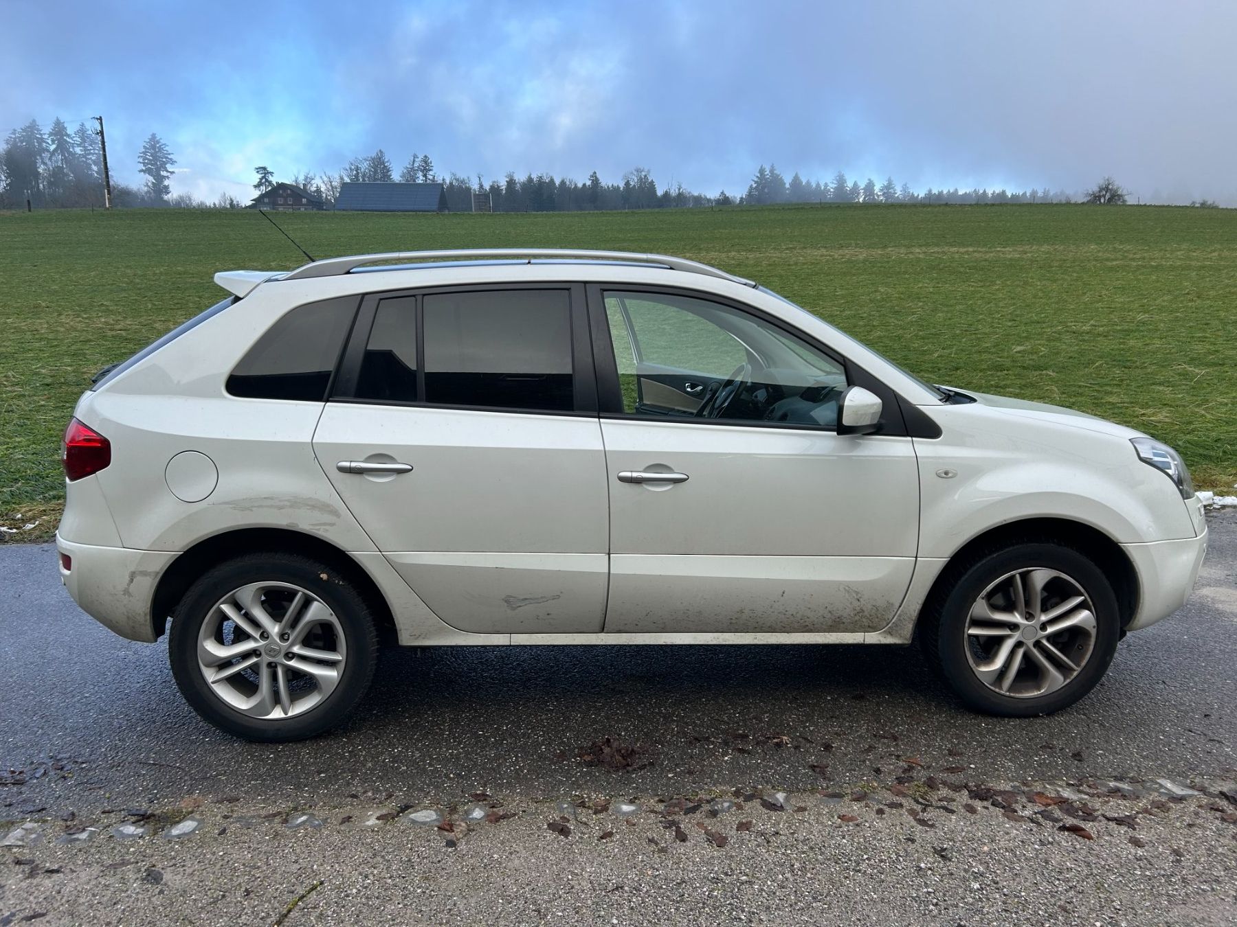 Renault Automobili: Renault Koleos – Usato da lohn-ammannsegg venduto da kkaiser