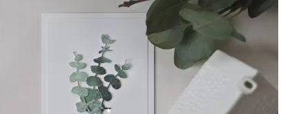 Pochoirs: Neues Stanzschablonen-Set Eukalyptus-Zweige – Neuf avec emballage d'origine à Effretikon par wenuss 1