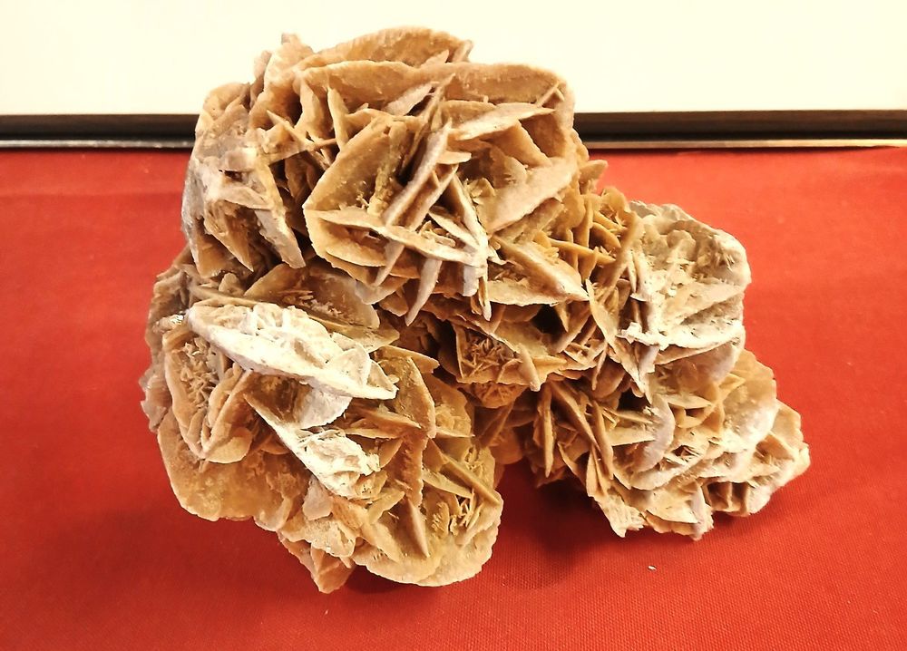 Rose Des Sables Prix