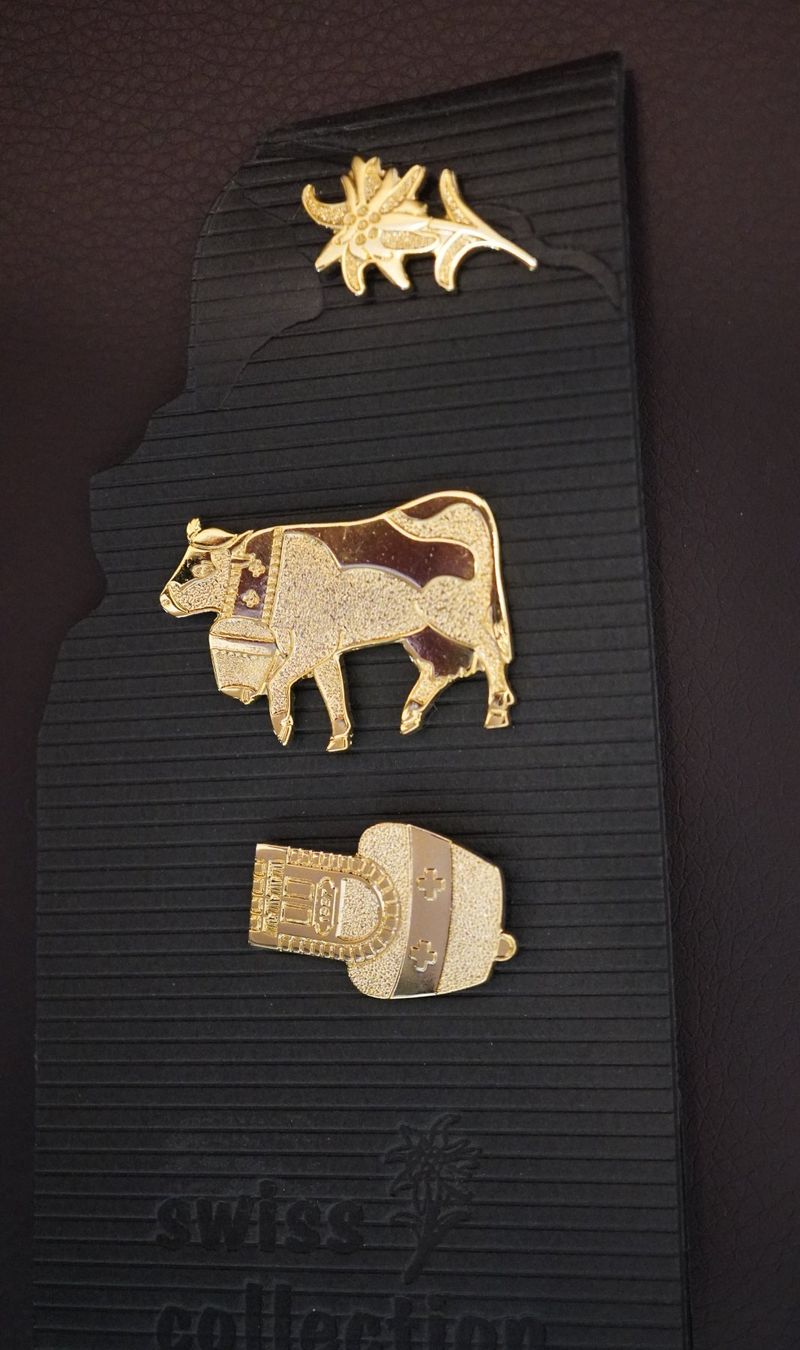Placchette & Badge: Pin Sammlung – Usato da Worb venduto da worb01 6