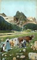 Erlenbach  BE   (Simmenthal) - Bauern / Kühe    um  1 9 0 7