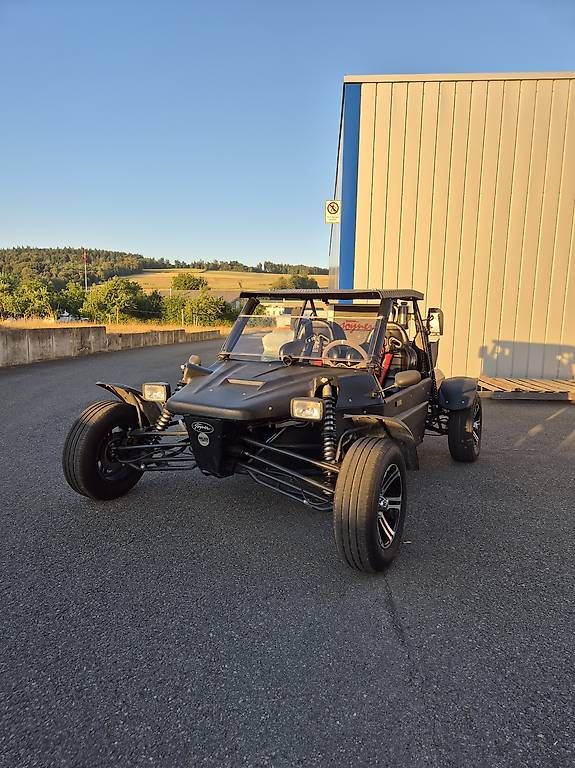 Carrozzine: Buggy, Joyner Walker 1100 spezial – Usato da Hildisrieden venduto da mar_82q6 1