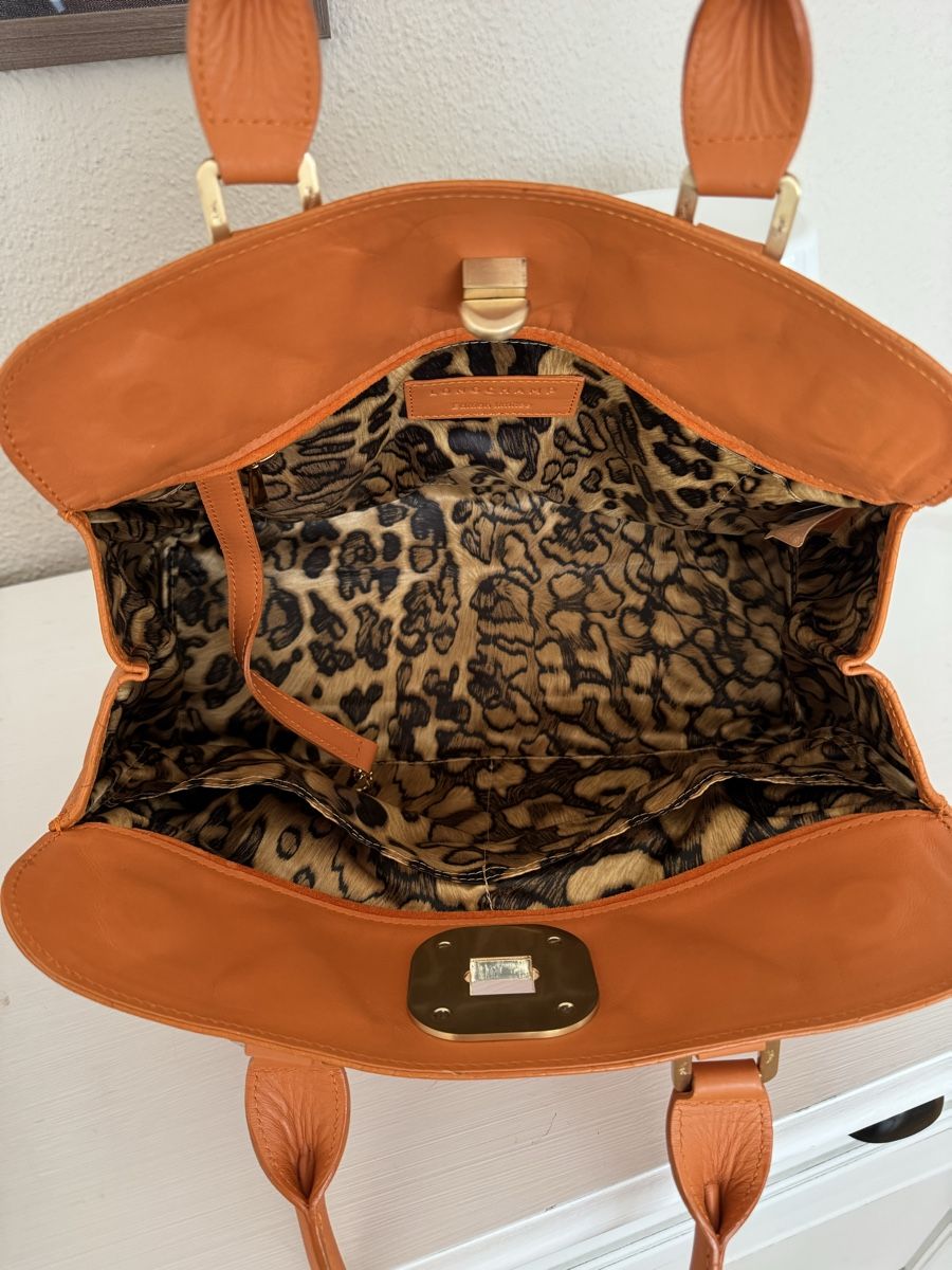 Longchamp Borse da donna: Limitierte Longchamp Handtasche 🍊 – Usato da Galgenen venduto da rpoto 4