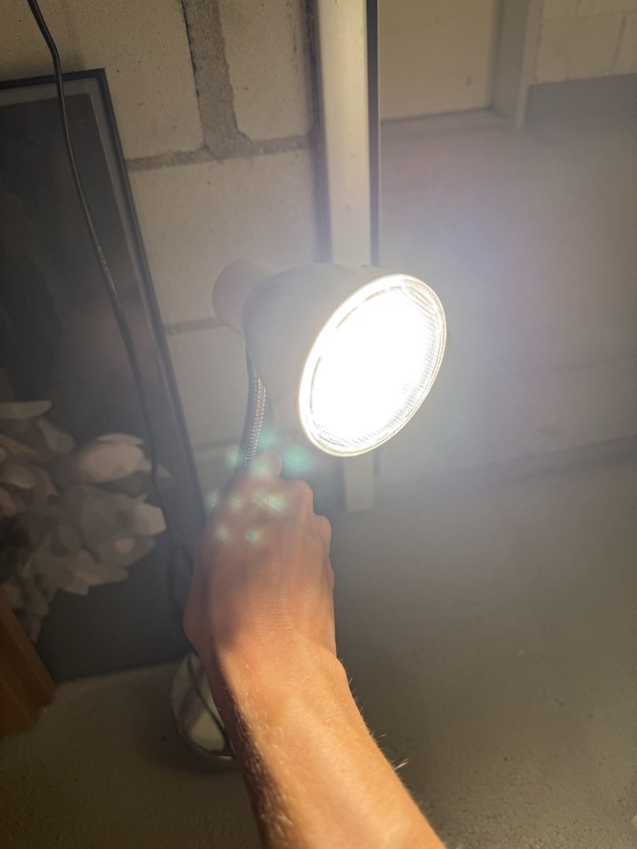Lampade: Tischlampe – Usato da Mörschwil venduto da Seegurke18 3